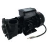 Jacuzzi® Lodge™ 2 Speed Hot Tub Pump - 930108653 -Hot Tubs Sale 930108653