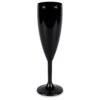 Hot Tub Safe Black Champagne Glass