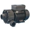 Jacuzzi® 2012+ Hot Tub Circulation Pump - 6500-067S -Hot Tubs Sale J300 circ pump 6500 920